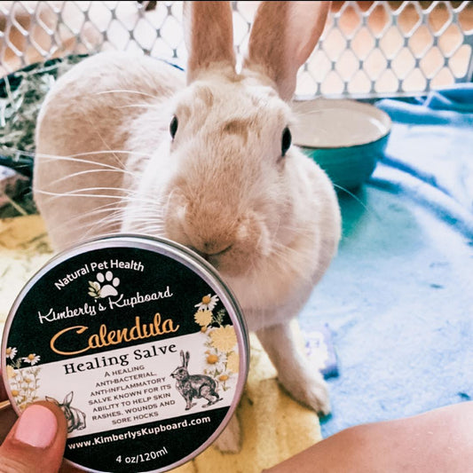 Rabbit Calendula Herbal Salve for Sore hocks, Injuries, Rashes