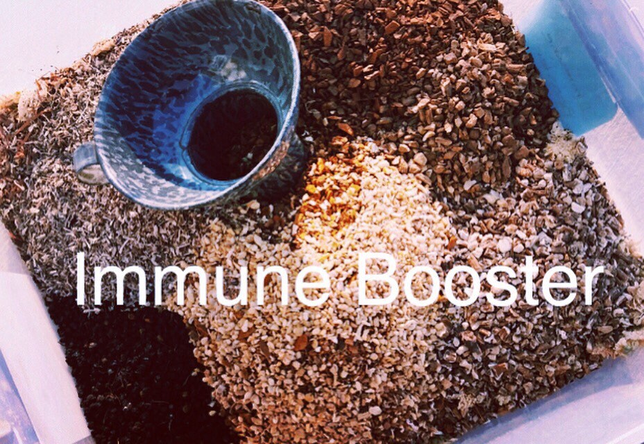 Immune Booster Herbal Tea with Elderberry, Echinacea for healthy immune system