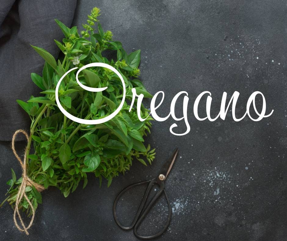 Oregano & Lavender Herbal Acne Spot Treatment
