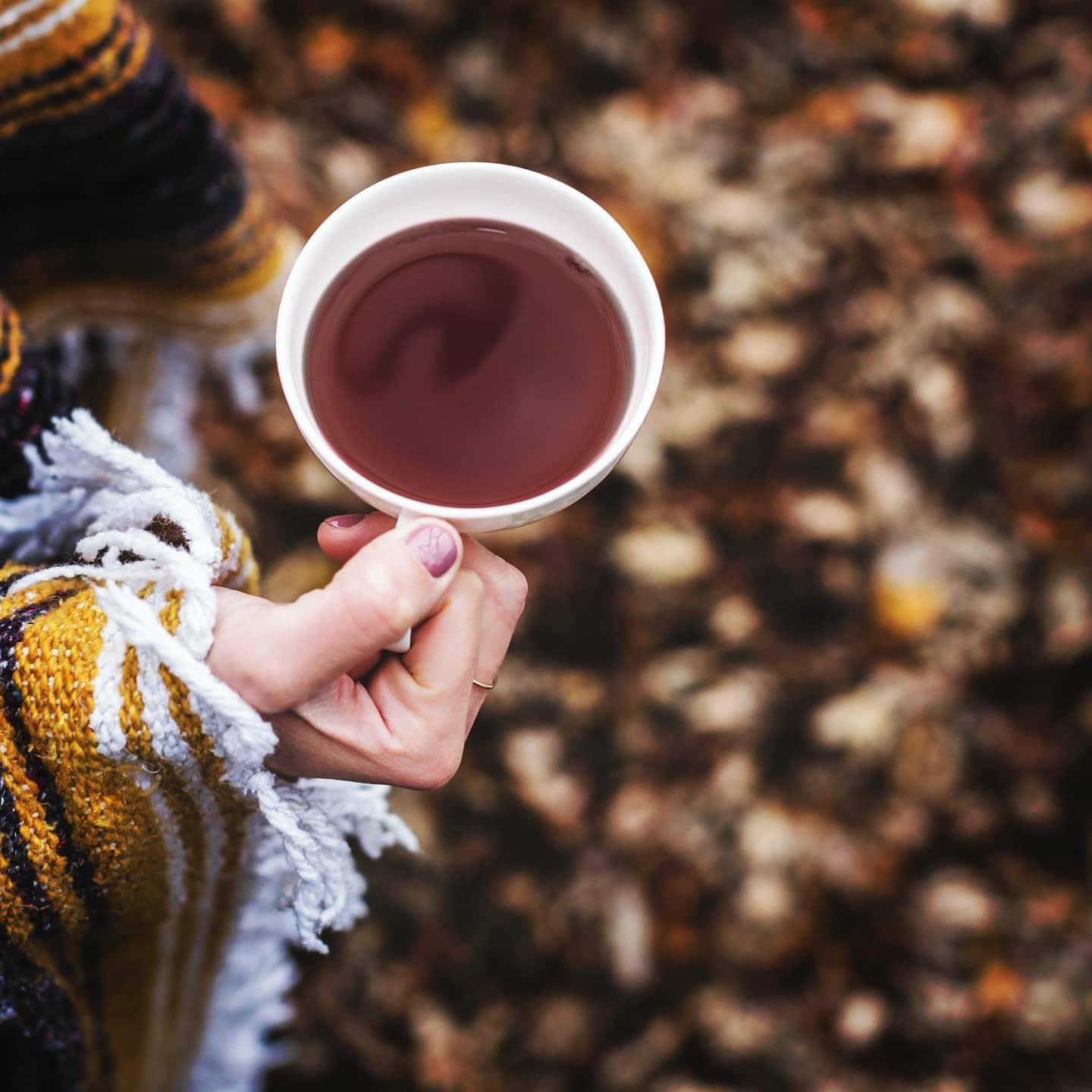 Bonfire Tea..Tasty Fall Tea made with smoked Lapsang Souchong tea, Oranges, Cinnamon and Cocoa Nibs!