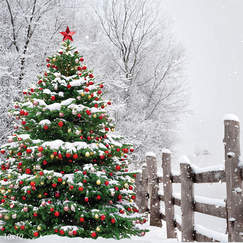 White Christmas Loose Leaf Holiday White Tea