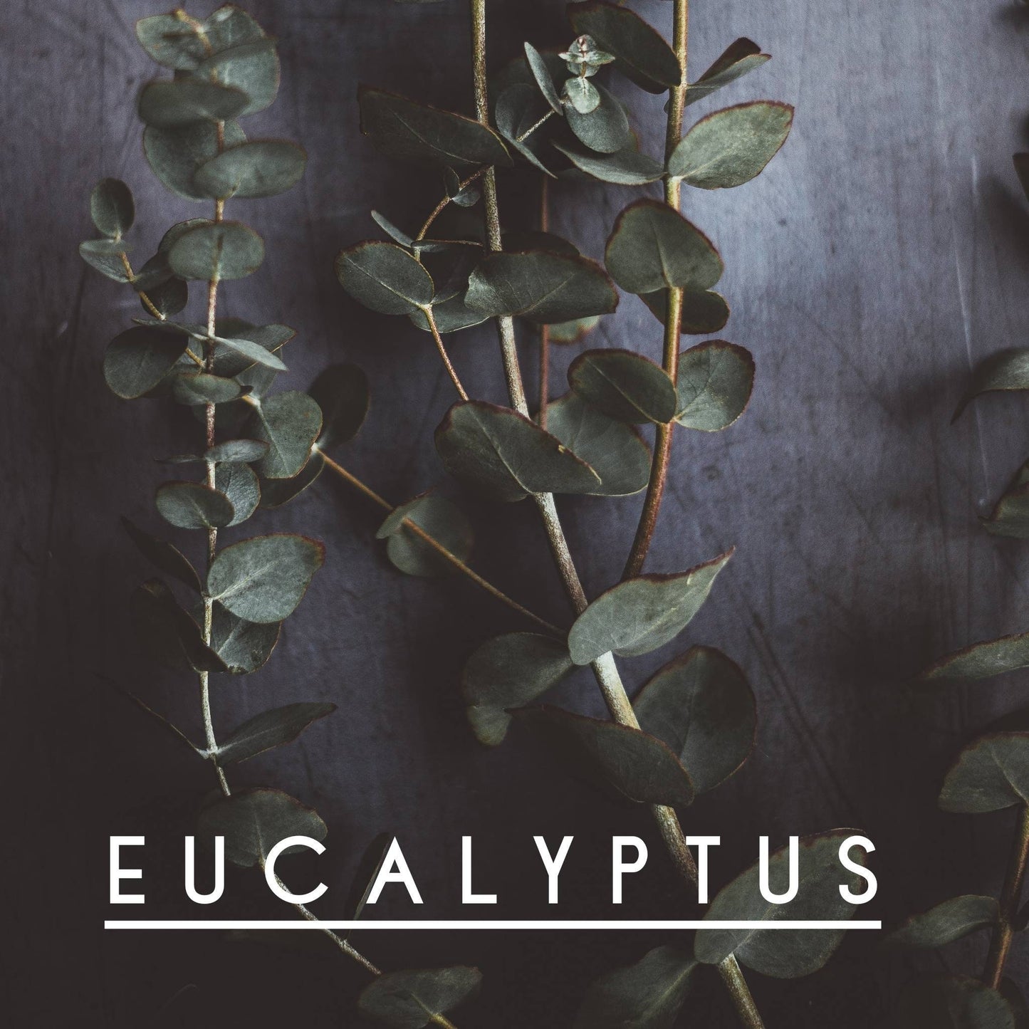 BUG AWAY! Roll-On Essential Oil--for Bug repellent, Aromatherapy